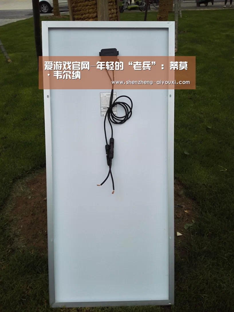 爱游戏官网-年轻的“老兵”：蒂莫·韦尔纳